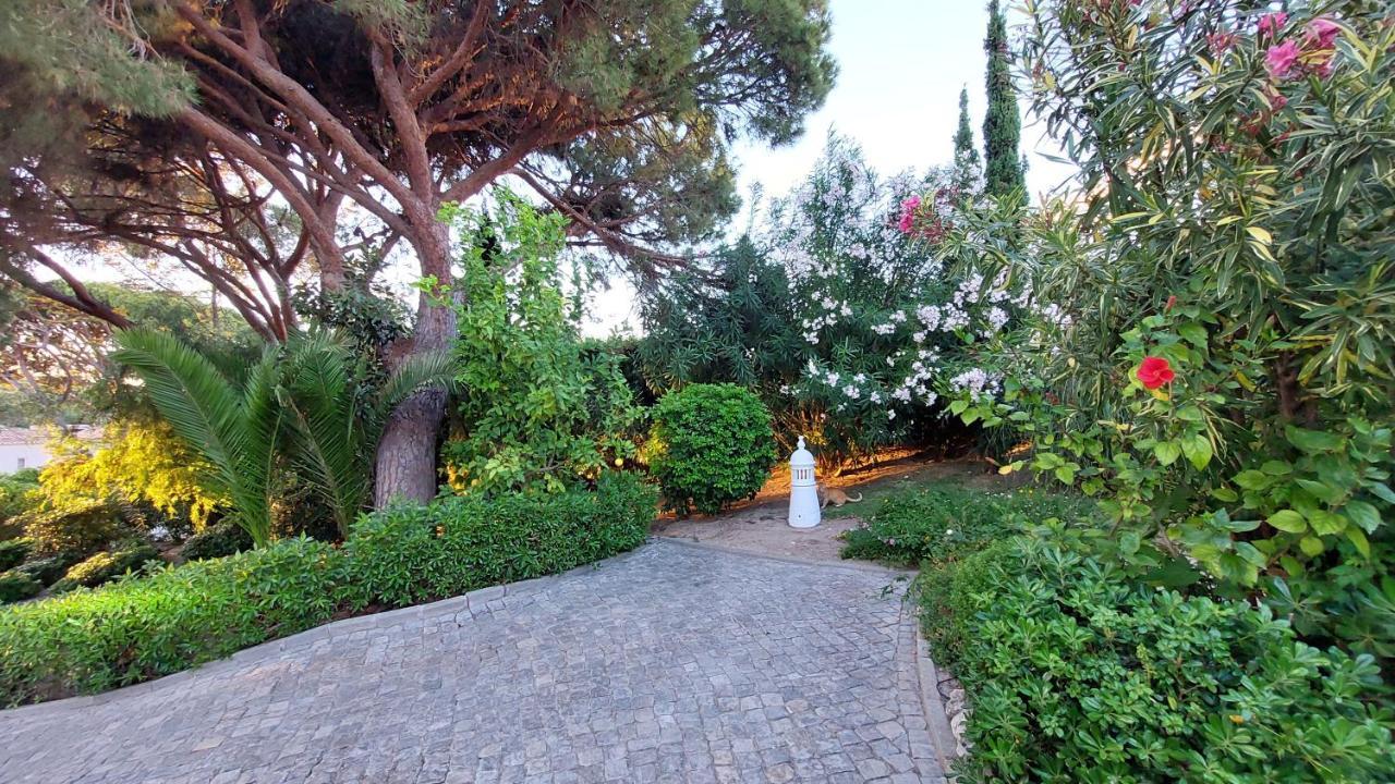 Casa Jolie Villa Вале до Лобо Екстериор снимка